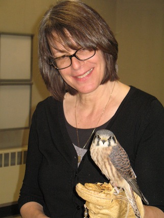 kestral