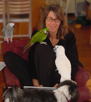 author